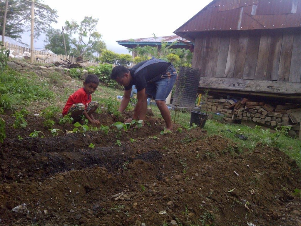 Ardhy Manggarai Timur (8) (FILEminimizer)